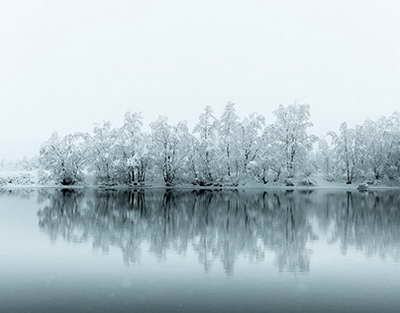 Болашақта қандай мамандықтар жойылады?